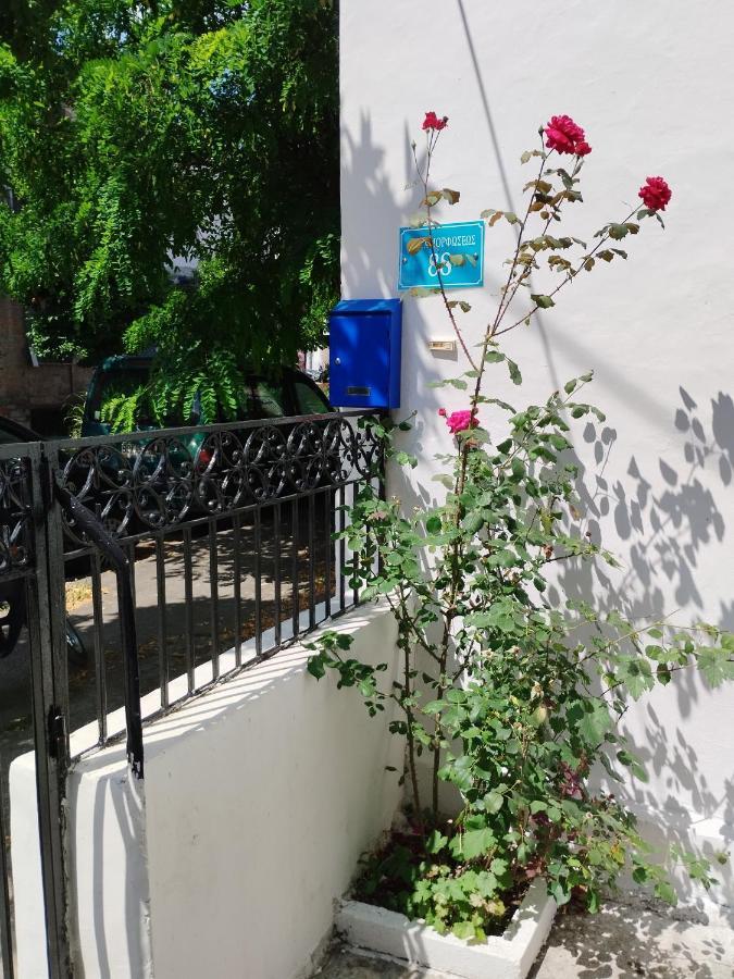 Η Ελπίδα Και Η Γιάννα Ξεκίνησαν Ένα Χώρο Cute Daire Golos Dış mekan fotoğraf